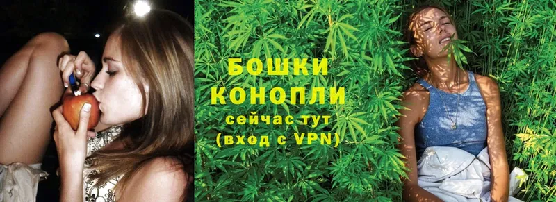 Канабис SATIVA & INDICA  Харовск 